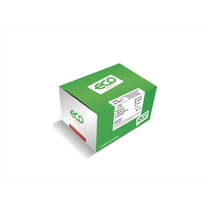 Hcv Ab Eco Teste 25 Cassete - Eco