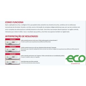 Schistotest Urine Cca  - 20 Testes - Eco
