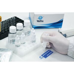 Ana-Hep-2 Imunofluorescência Imuno-Con 100 Testes - Wama