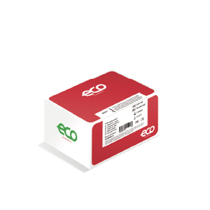 ECO F NT PROBNP 20 TESTES ECO - 02619